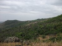 ntrada Ilice-20100530 008